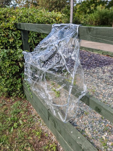Hauck universal stroller rain - universal,